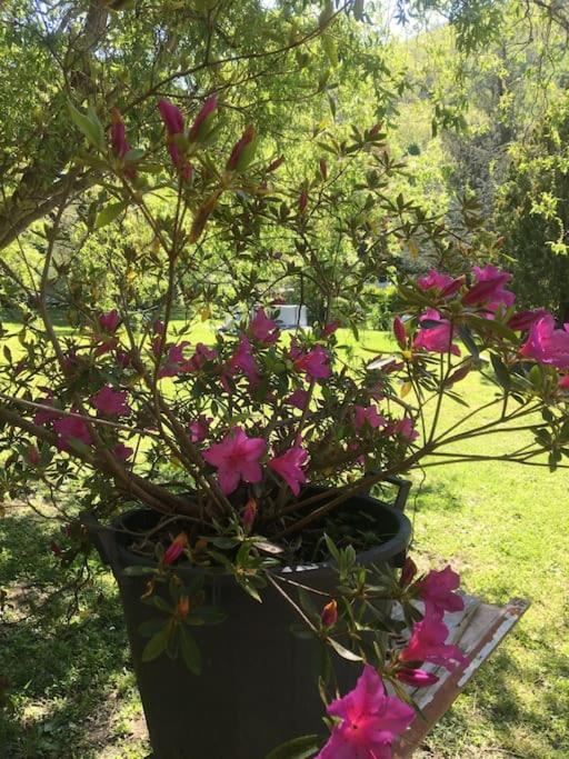 Welcome In Toscana Polcanto Exterior foto